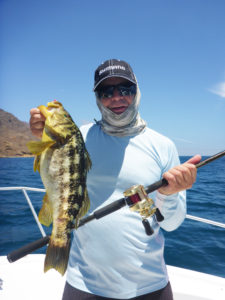 CedrosPeteCalico7-15