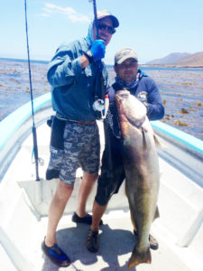 Cedros-dart-wsb-7-14