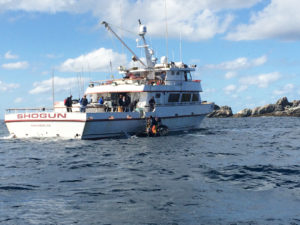 shogunskiff11-14-boat