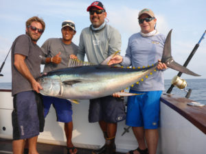 journeymanpetetun12-14